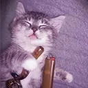 sleepyyheads_