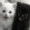 .nnngel_