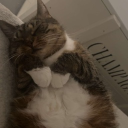 avatar 𝒸𝒽𝒶𝓎