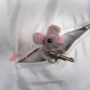 ratatusrattus