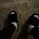 ricksfein