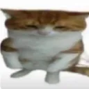 akbdkdsnjdnkd_79771 avatar