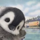 knows10