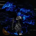 naspizo_60310 avatar