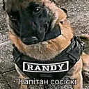 Аватар bluhaiv