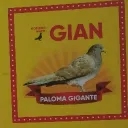 gian016465