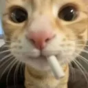 ibrxhmui