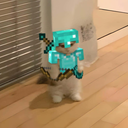 the_minecraftcat#0