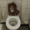 bobbrnohack