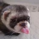 smunganula avatar
