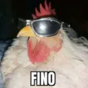 juanblomogollon avatar