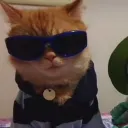 jasonfse