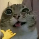 7sirwhite_7