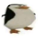 Аватар freak0707000