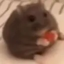 noofsoma