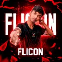 TTS FLICON