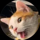 amurcat