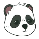 captpanda