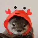 tssodino