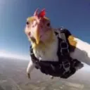 da_mc_