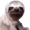 chebruszki