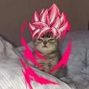 goku_black1.61 avatar