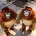 riannonyo