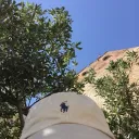 Аватар trollface_gang