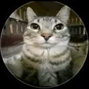 hs77iwhhs avatar