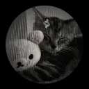 _urfavkitty