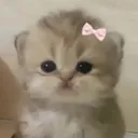 akiki_0409