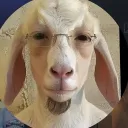 coolgamer8251 avatar