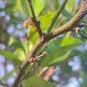 unodotle_52320 avatar