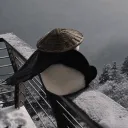 ajvcxi