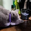 beewithanitch