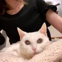 emileve