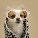 fortniteking0953's Avatar