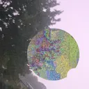 starsillycat