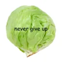 saladcup