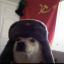 avatar sick