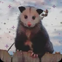 missmonkeybean