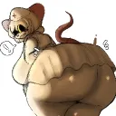 yourlittledoctor