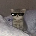 nielzin0040_44077 avatar