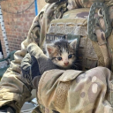 Avatar de łⱫ₦Ø