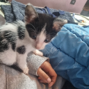 avatar •𝕬𝖐𝖘𝖍𝖚•🎸☆♤𝖟𝖟𝖟𝖟