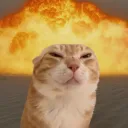 joakoo640_49458 avatar