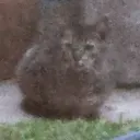 nyeki.rs
