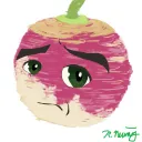 nauris