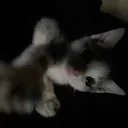 loly_h0lly