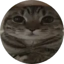 jamarialt55